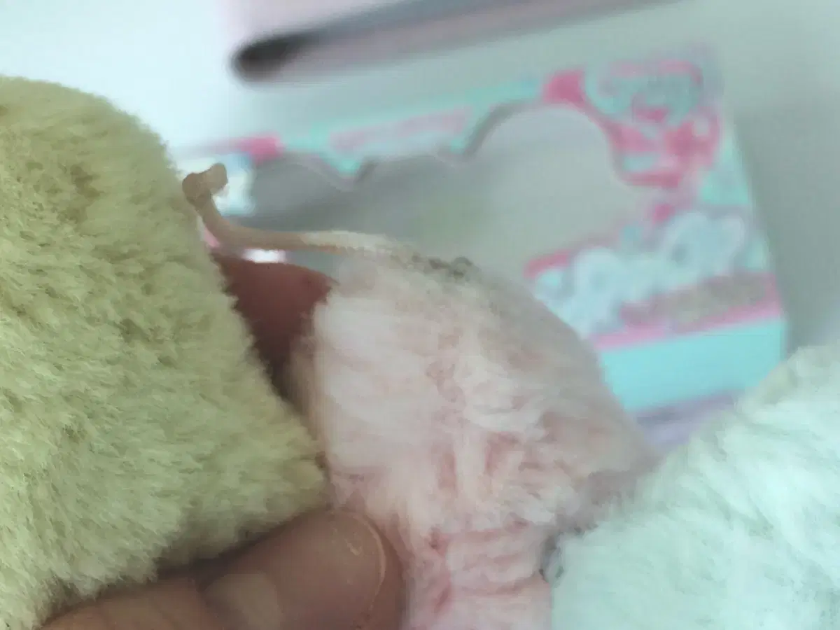 thumbnail-3
